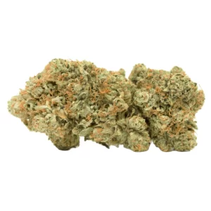 white lsd cannabis strain uk